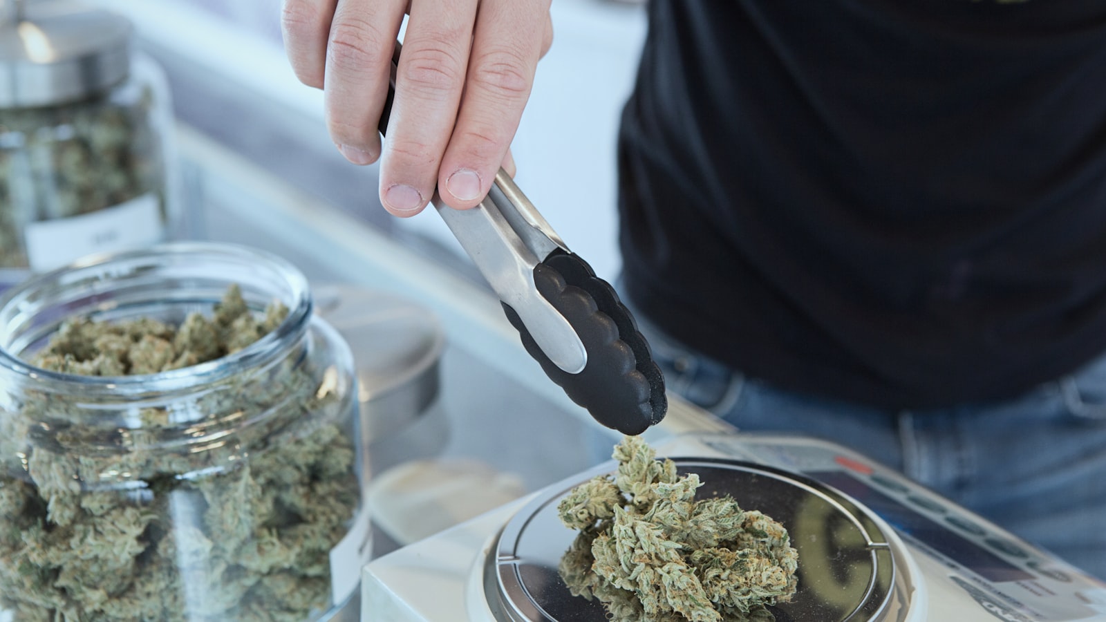 person holding grey tongs and kush