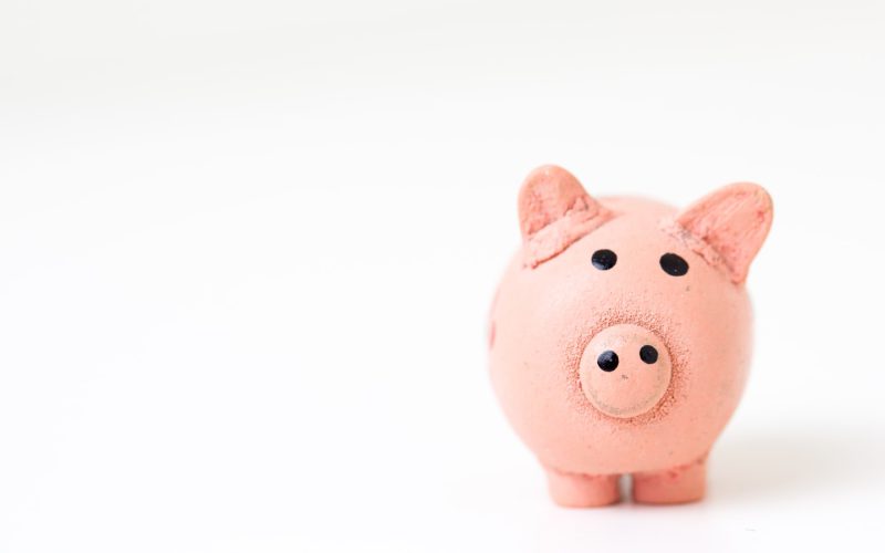 pink pig figurine on white surface